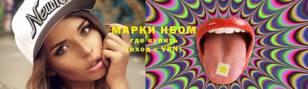 хмурый Алексин