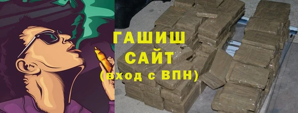 хмурый Алексин