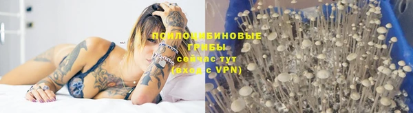хмурый Алексин