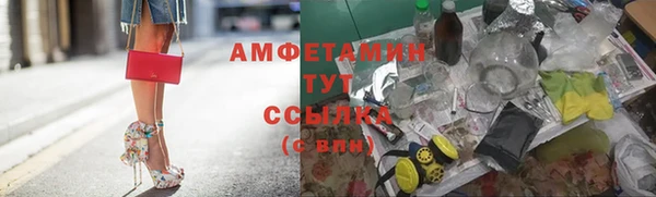 хмурый Алексин